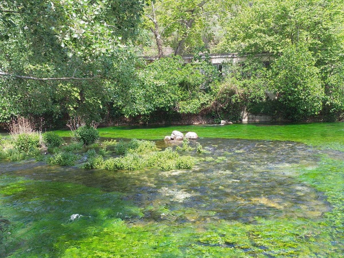 Maison Au Coeur De Fontaine De Vaucluse, Nichee Sur Le Rocher Et Surplombant La Sorgue Exteriör bild